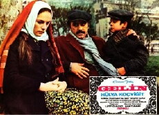 Gelin (1973) - Stream Online