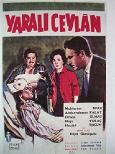 The Wounded Gazelle (1963) - Stream Online