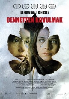The Fall from Heaven (2014) - Stream Online