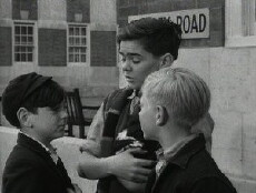 The Dog and the Diamonds (1953) - Stream Online