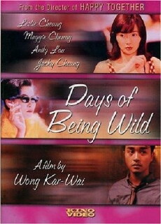 Days of Being Wild (1990) - Stream Online