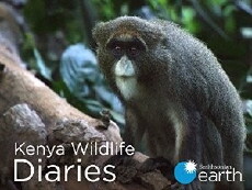 Kenya Wildlife Diaries (2016) - Stream Online