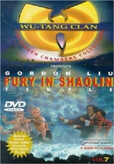 Fury in the Shaolin Temple (1979) - Stream Online