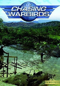 Chasing Warbirds (2008) - Stream Online