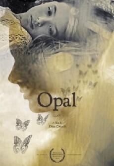 Opal (2010) - Stream Online