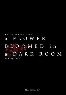 A Flower Bloomed in a Dark Room (2019) - Stream Online