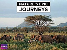 Nature's Epic Journeys (2016) - Stream Online