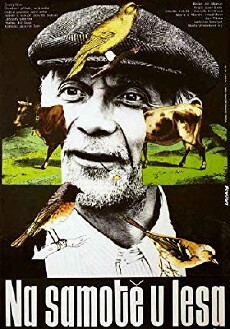 Secluded, Near Woods (1976) - Stream Online