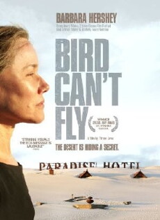 The Bird Can't Fly (2007) - Stream Online