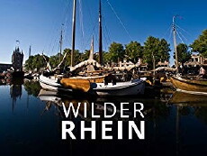 Wilder Rhein (2013) - Stream Online