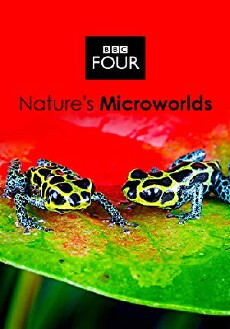 Nature's Microworlds (2012) - Stream Online