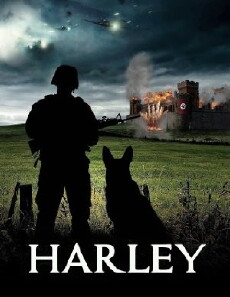 Harley (2017) - Stream Online