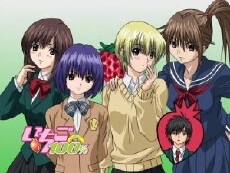 Ichigo 100% (2005) - Stream Online