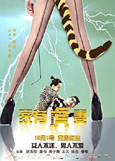 A Tiger Wife (2015) - Stream Online