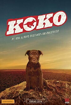 Koko: A Red Dog Story (2019) - Stream Online